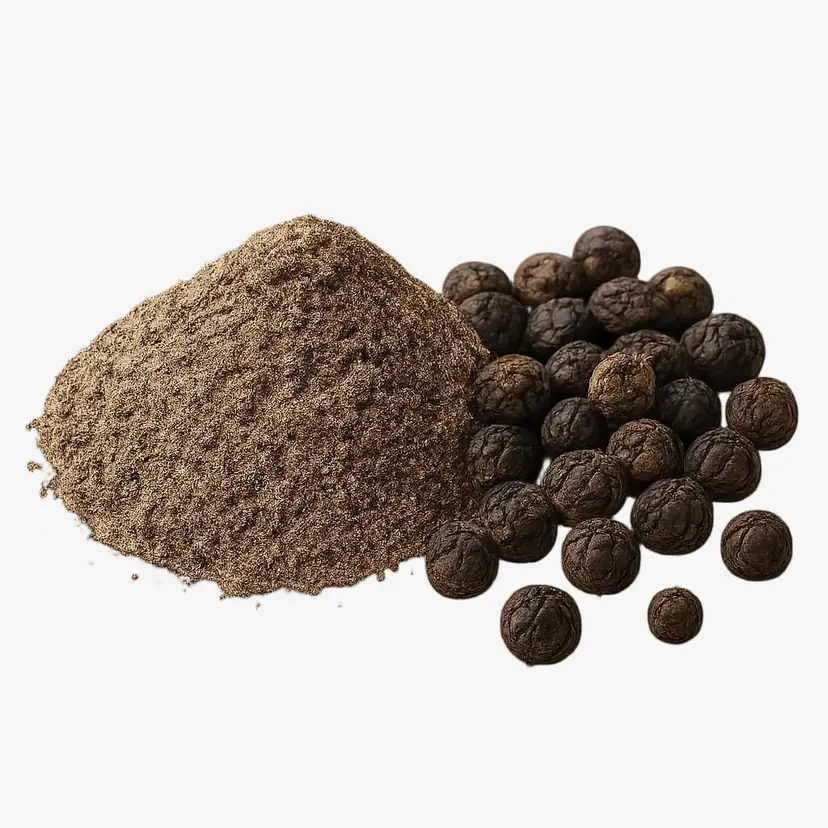Panax Ginseng
